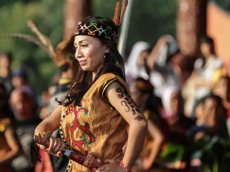 Perkembangan Seni Dan Budaya Suku Dayak Sekarang