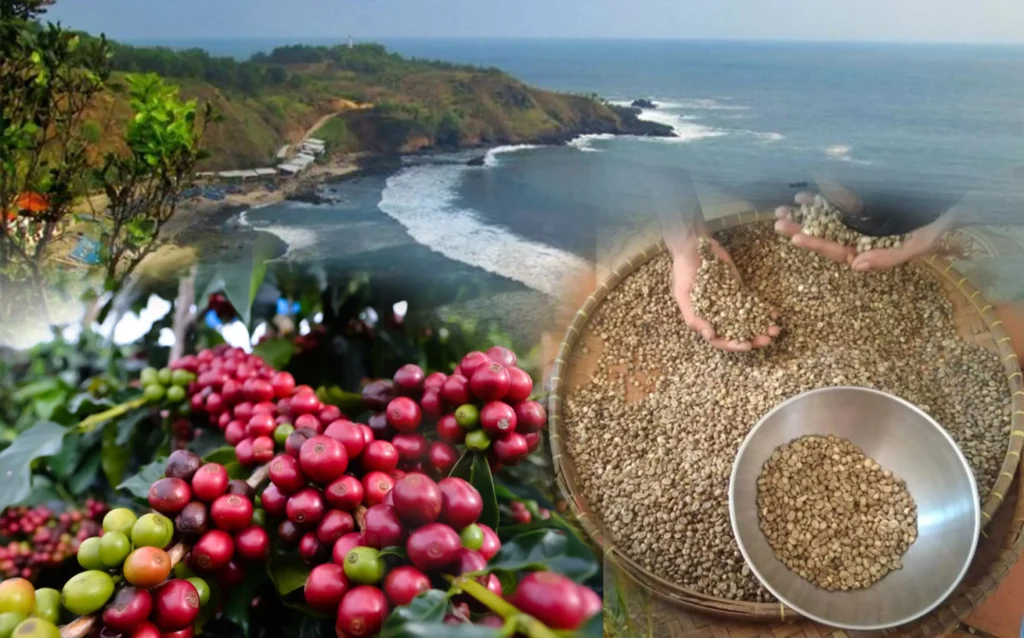 Destinasi Terbaik Bagi Wisatawan Pecinta Kopi