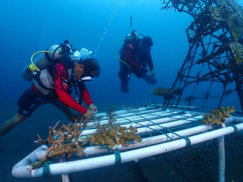 Menjaga Keseimbangan Kelestarian Dalam Ekosistem Laut