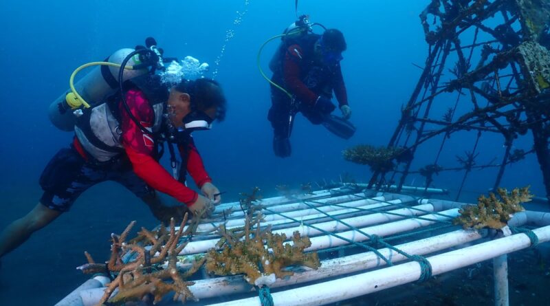 Menjaga Keseimbangan Kelestarian Dalam Ekosistem Laut