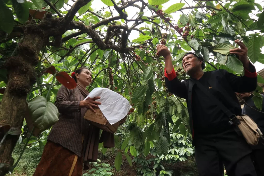 Peran Kopi Bagian Dari Tradisi Dan Ritual Sosial Masyarakat