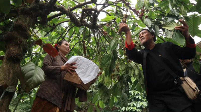 Peran Kopi Bagian Dari Tradisi Dan Ritual Sosial Masyarakat