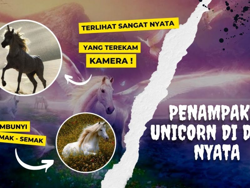 Unicorn Tidak Pernah Ada