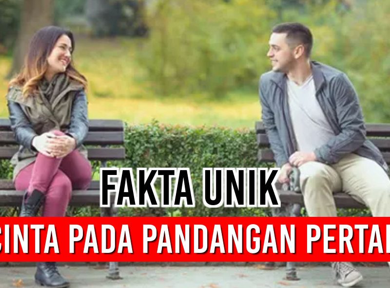 Cinta Pada Pandangan Pertama