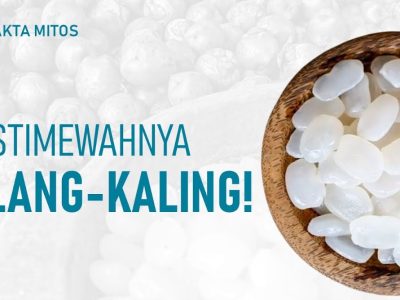 Khasiat Kolang Kaling