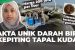 Keunikan Kepiting Tapal Kuda