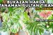 Nilai Jual Tanaman Monstera