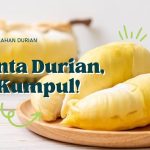 Aneka Kuliner Unik Dari Durian Yang Wajib Dicoba