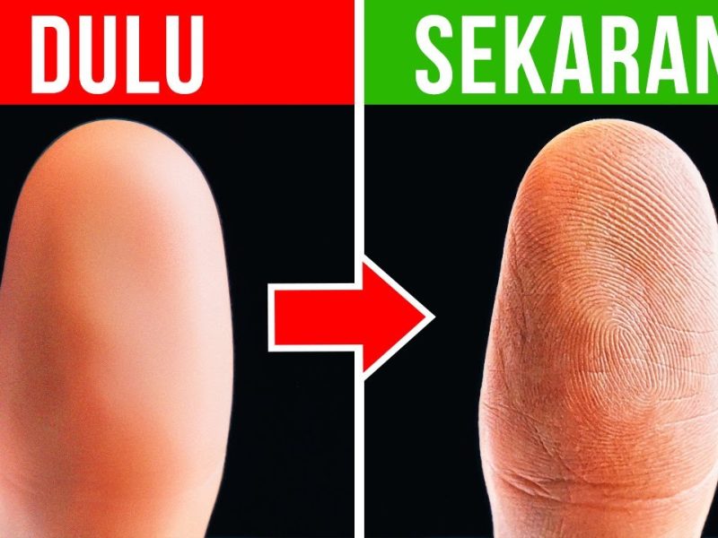 Mengenal Pola Sidik Jari