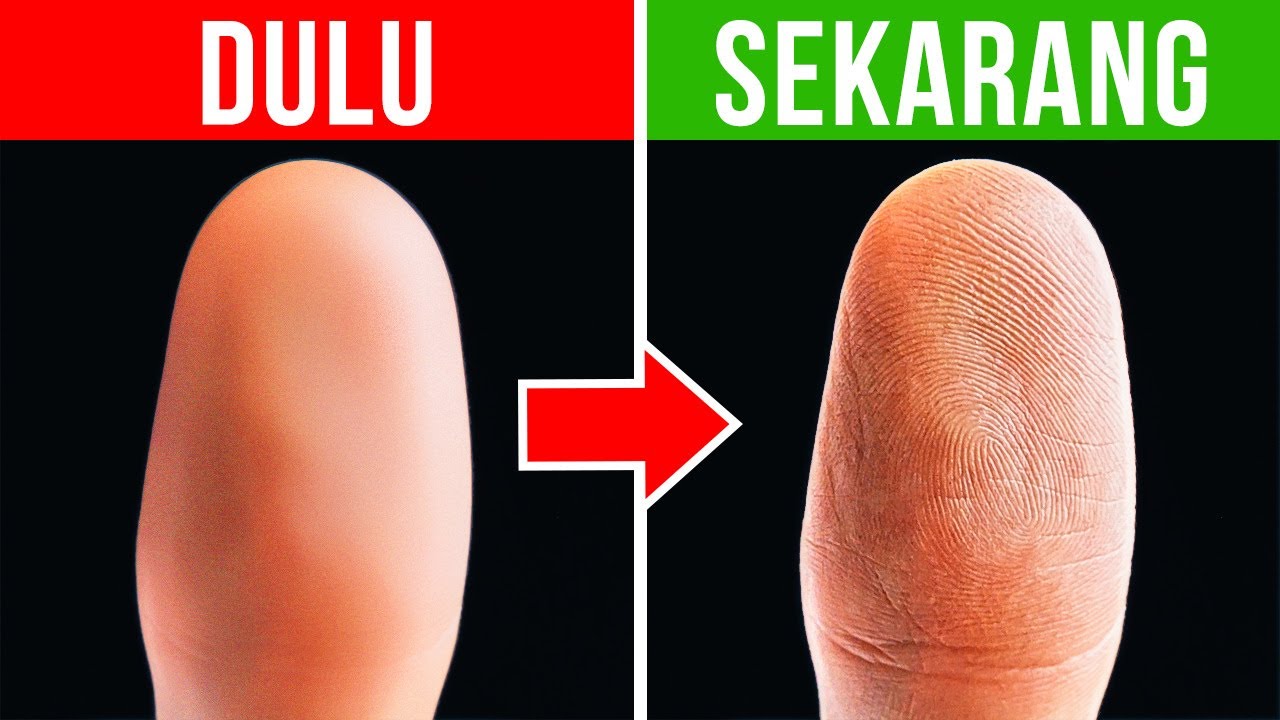 Mengenal Pola Sidik Jari: Ciri Unik Yang Dimiliki Setiap Manusia