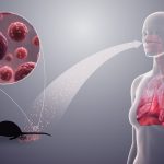 Hantavirus, Penyakit Langka Yang Berbahaya & Perlu Di Waspadai