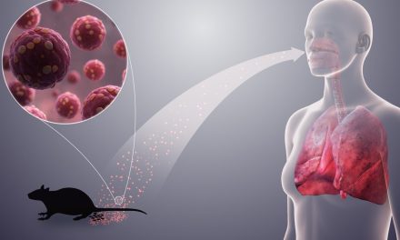 Hantavirus, Penyakit Langka Yang Berbahaya & Perlu Di Waspadai