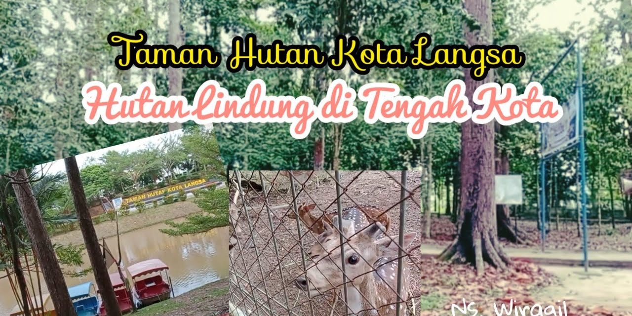 Fungsi Ekologis Hutan Lindung Langsa Bagi Kehidupan Sekitar