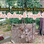 Fungsi Ekologis Hutan Lindung Langsa Bagi Kehidupan Sekitar