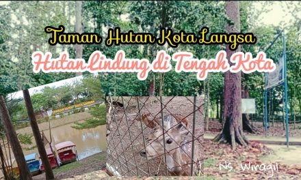 Fungsi Ekologis Hutan Lindung Langsa Bagi Kehidupan Sekitar