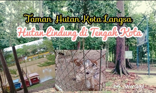 Fungsi Ekologis Hutan Lindung Langsa Bagi Kehidupan Sekitar