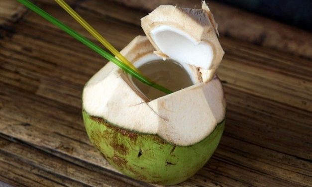 Khasiat Air Kelapa Untuk Kesehatan Tubuh Yang Jarang Diketahui