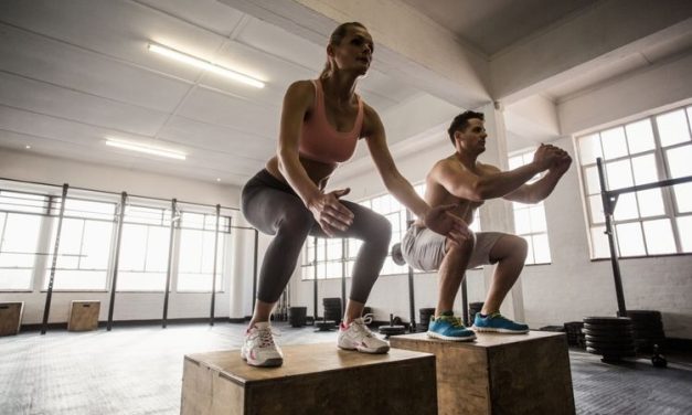 Otot Terbesar Di Tubuh Manusia Adalah Gluteus, Yaitu Di Bokong