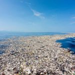 Perang Melawan Sampah Plastik Di Ekosistem Laut