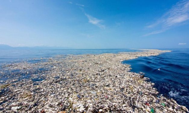 Perang Melawan Sampah Plastik Di Ekosistem Laut