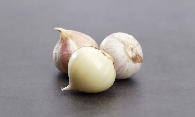 Khasiat Bawang Lanang Bisa Bikin Tubuh Anda Sehat Dan Kuat!