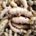 Potensi Curcuma Mangga Dapat Menetralkan Radikal Bebas