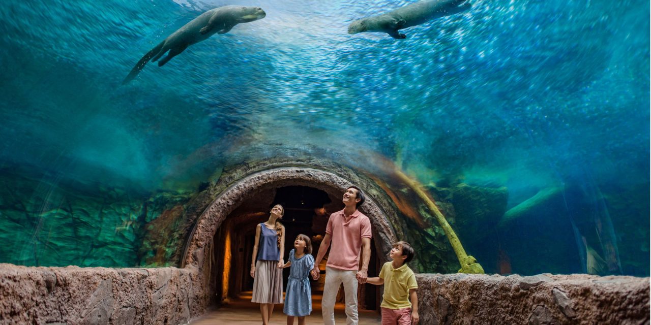 River Wonders Salah Satu Destinasi Wisata Favorit Di Singapura