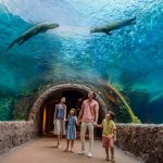 River Wonders Salah Satu Destinasi Wisata Favorit Di Singapura