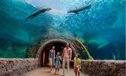 River Wonders Salah Satu Destinasi Wisata Favorit Di Singapura