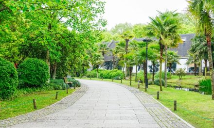 Ruang Terbuka Hijau (RTH) Di Jakarta Sangat Di Butuhkan