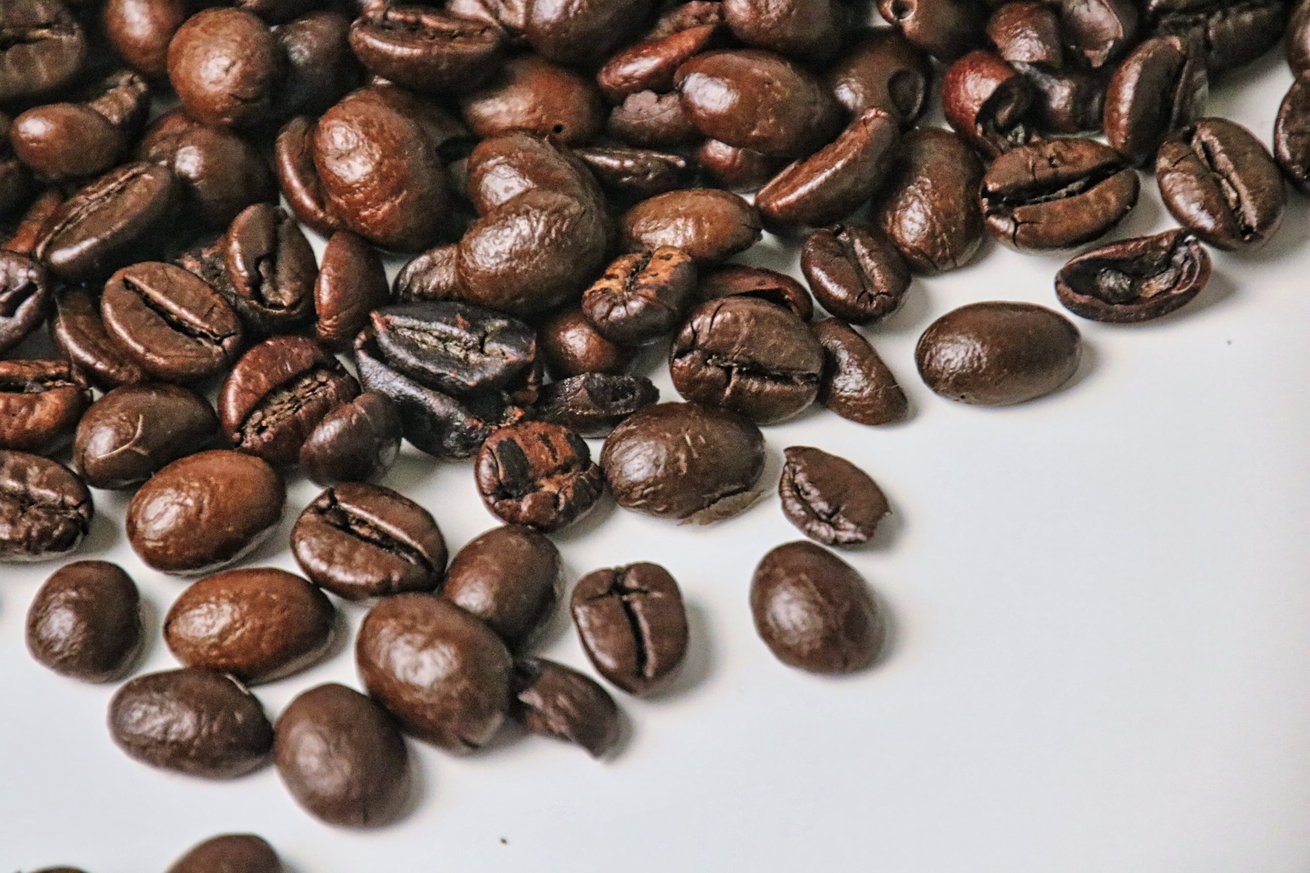 Kopi Robusta
