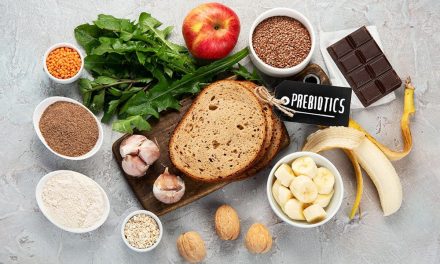 Manfaat Prebiotik Untuk Kesehatan Tulang, Simak Penjelasan Ini