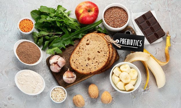 Manfaat Prebiotik Untuk Kesehatan Tulang, Simak Penjelasan Ini