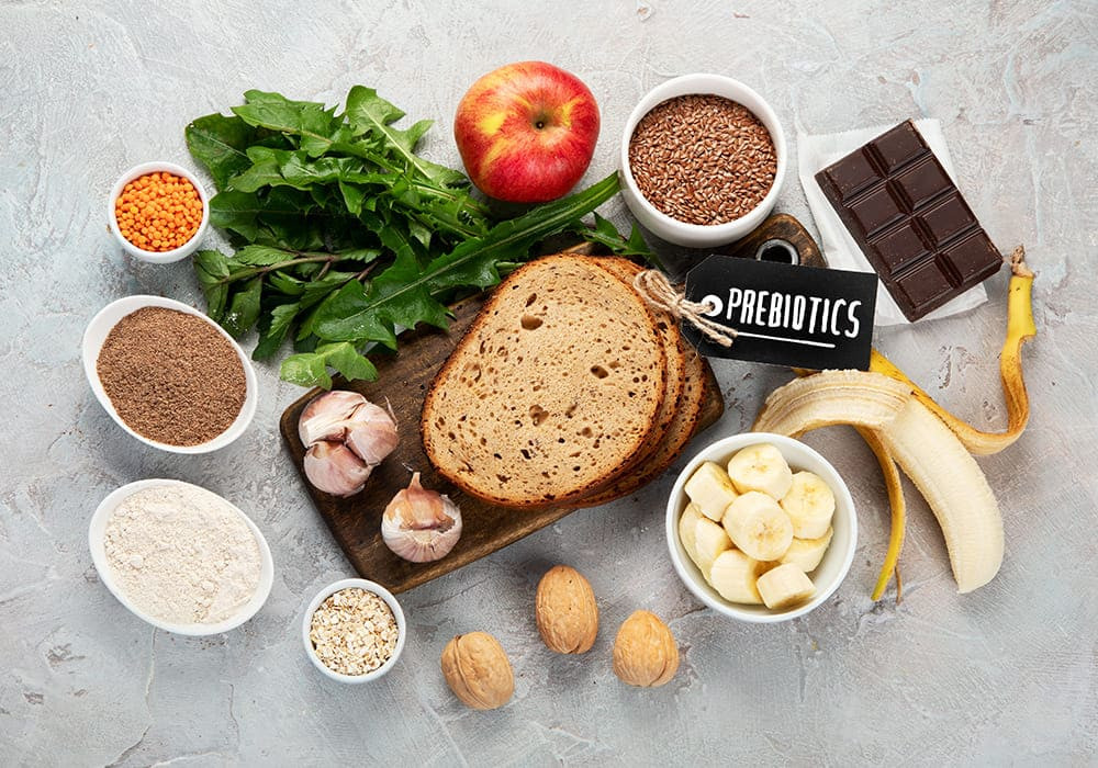 Manfaat Prebiotik