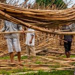 Batang Kayu Rotan Memainkan Peran Penting Industri Kerajinan