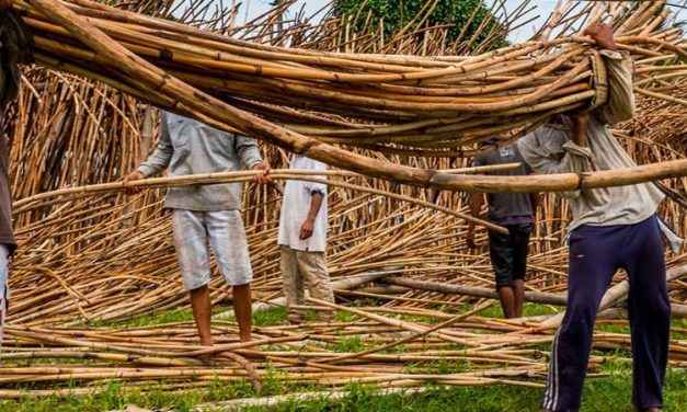 Batang Kayu Rotan Memainkan Peran Penting Industri Kerajinan