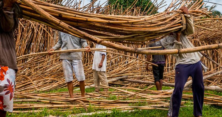 Batang Kayu Rotan