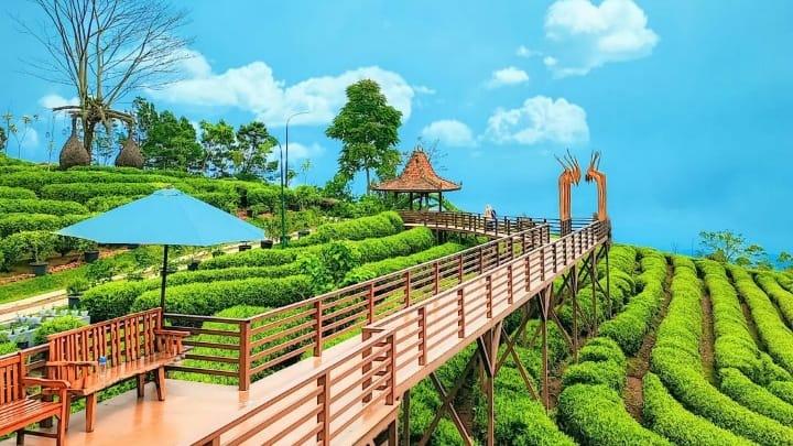 Daftar Destinasi Ciater Yang Patut Anda Datangi