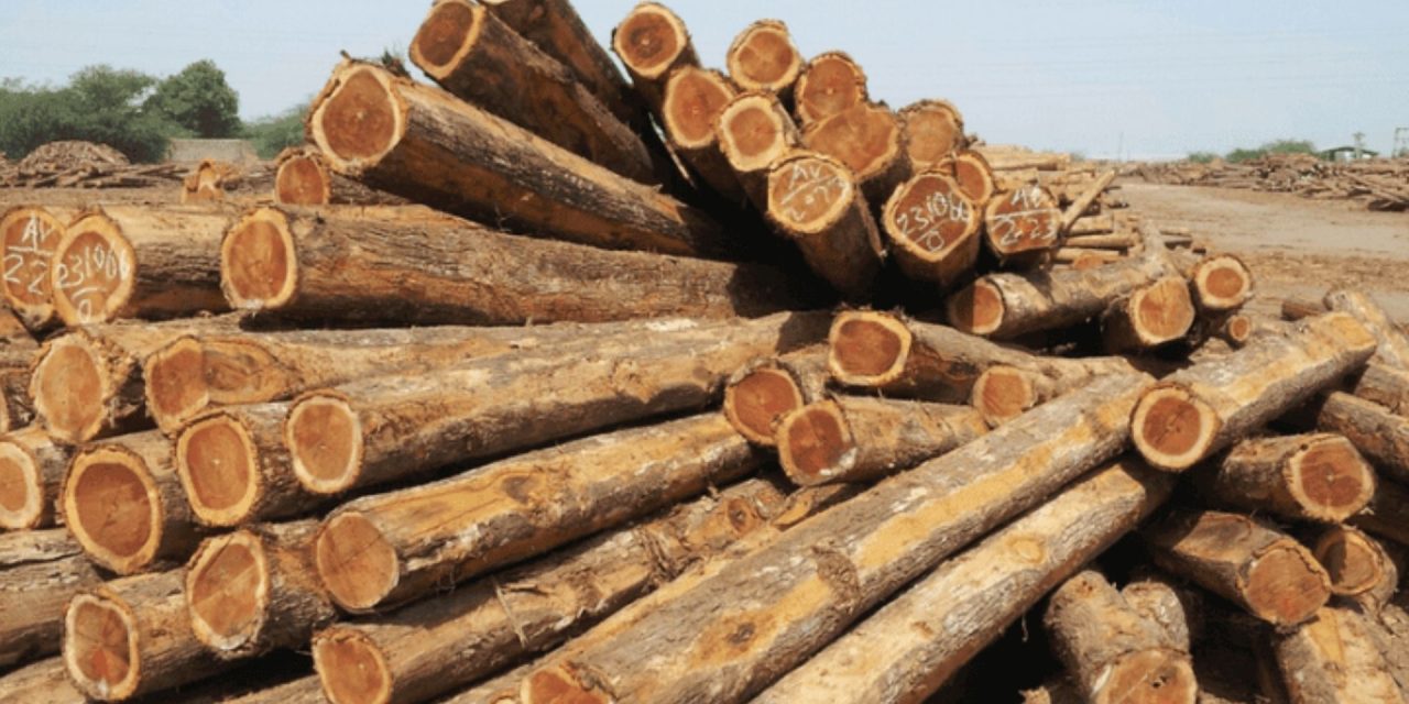 Jati, Kayu Dengan Kepadatan Dan Daya Tahan Sempurna