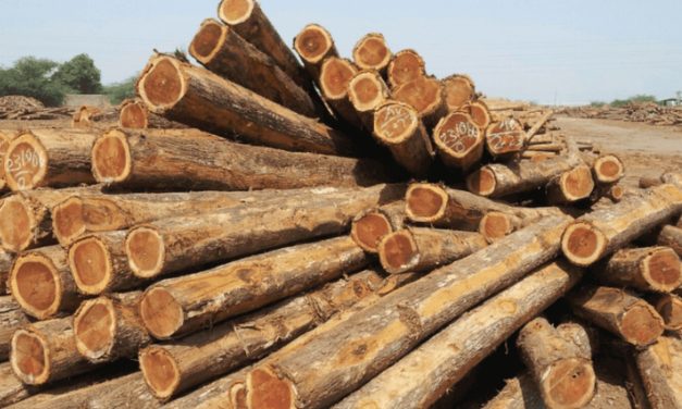 Jati, Kayu Dengan Kepadatan Dan Daya Tahan Sempurna